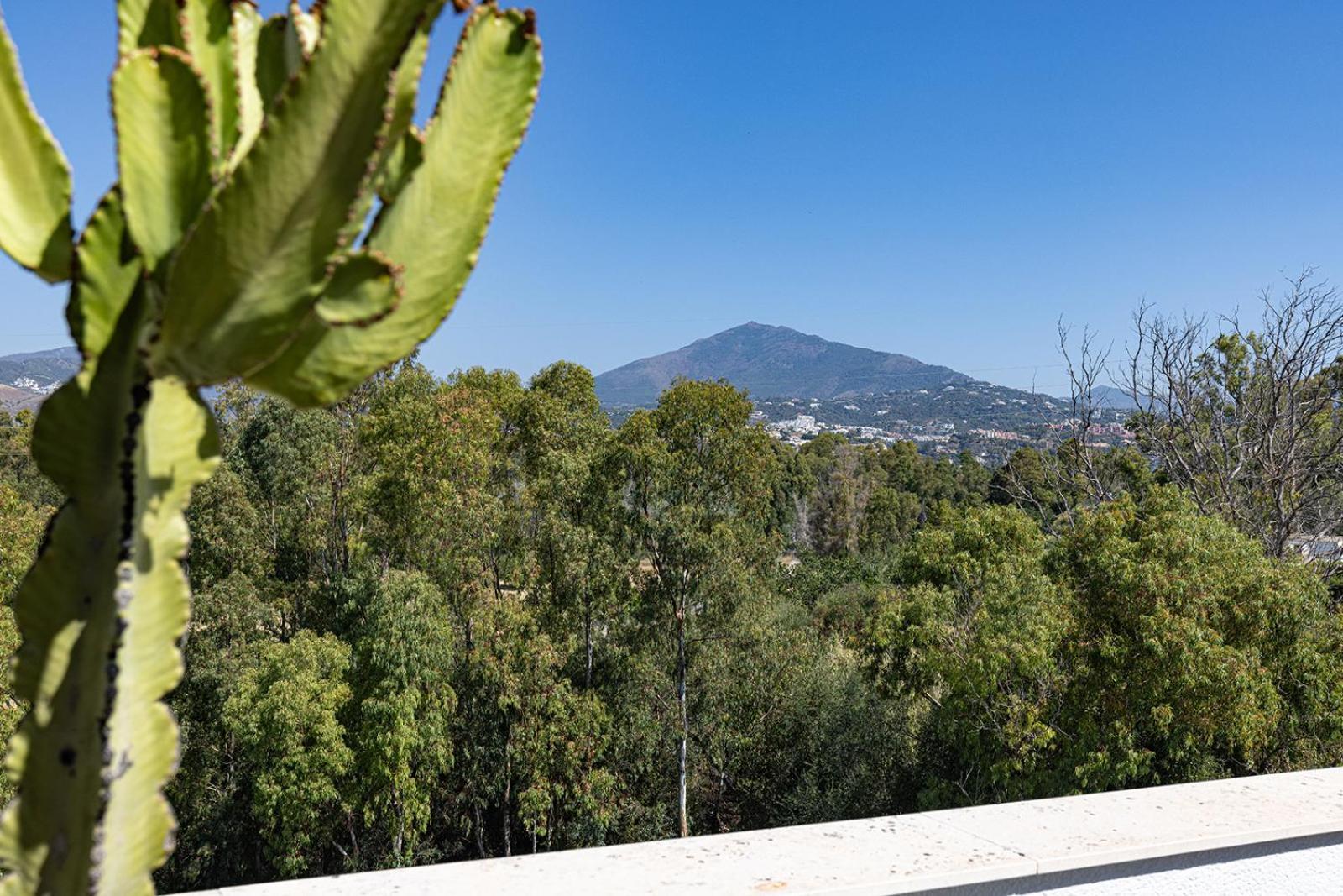 Bright Penthouse With Swimming Pool In Marbella Appartement Buitenkant foto